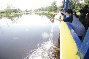 Peringati Hari Air Sedunia, Bupati Landak Lepas 5000 Bibit Ikan Nila Di Mandor