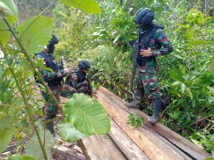 Di Sintang, Satgas Pamtas Amankan Belasan Kayu Olahan