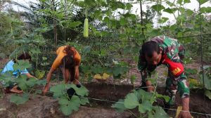 Ini Cara Babinsa Mandor Perkuat Ketahanan Pangan Warga Desa Selutung