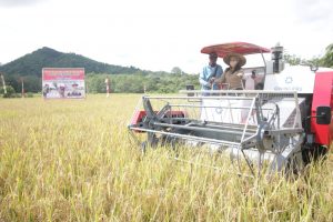 Bupati Landak : Petani Desa Kayu Tanam, Menuju Pertanian Modern