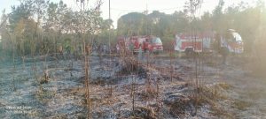 Sigap!! Satpol-PP Landak Padamkan Api di Perumahan Bali Permai