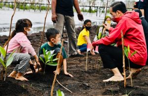 Jokowi Tegaskan Rehabilitasi Mangrove Akan Terus Kita Lakukan