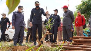 Sis Tinjau Perkebunan Ubi di Sekubah dan Benuis