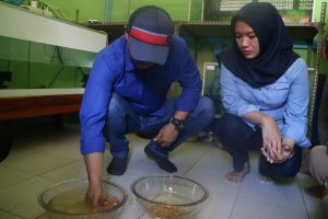 Wabup Kapuas Hulu Monitor Kebutuhan Pengembangan BBI Kelansin