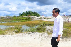 Pasca Banjir di Sintang, Jokowi Tanam Pohon Dibekas Area Tambang