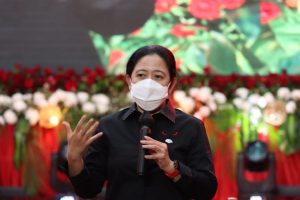 Puan Ajak Kader Berpartisipasi Pemulihan Sosial dan Ekonomi Imbas COVID-19