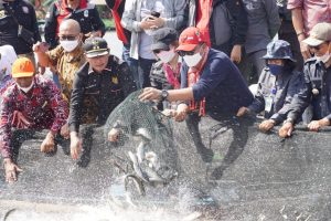 Wabup Kapuas Hulu Bersama Ketua Komisi V DPR RI Panen Ikan Konsumsi