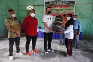 Bupati Kapuas Hulu Serahkan Alat Pertanian Dan Perkebunan Untuk Petani
