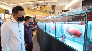 Hebat! Sis dan Wahyu Promosikan Arowana Cup 2022 di Jakarta