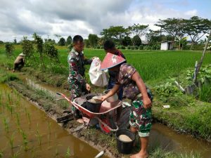 Kodim 1013/Mtw Buka Lahan Demplot di Trahean