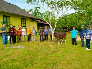 Pj Bupati Landak Serahkan Sapi Kurban dari Pemprov Kalbar