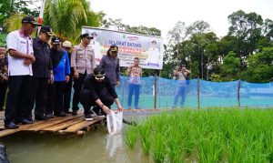 Bupati Kapuas Hulu Lepas 6000 Ikan Nila di Lubuk Antuk