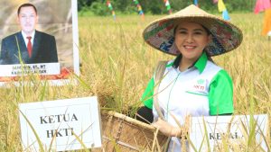 Panen Raya di Serimbu, Karolin Bersyukur Kini Panen Bisa 2 Kali Setahun