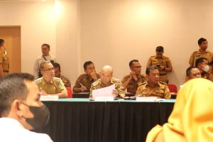 Samuel Hadiri HLM TPID Tingkat Provinsi di Pontianak