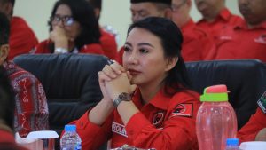 Karolin minta Panglima TNI Tindak Pelaku Penusukan Warga Landak di Jakarta