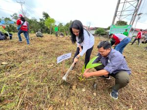 PMI Landak Tanam 500 Pohon, Karolin : Merawat Bumi Bagian Dari Merawat Kemerdekaan Indonesia
