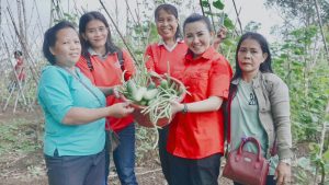 Panen Raya Kebun PKK Sidas, Karolin Sampaikan Ganjar Mampu Lanjutkan Ketahanan Pangan dari Jokowi