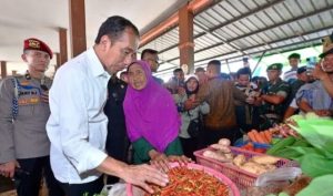 Jokowi Kunjungi Pasar Sebukit Rama, Cek  Harga Bahan Pangan