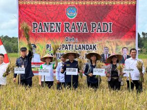 Panen Raya Padi Desa Semenok, Karolin Berikan Bantuan Hand Sprayer
