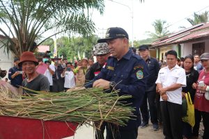 Samuel Panen Raya Padi di Semenok