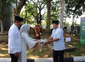 Iduladha 1445 Hijriah, Pangdam XII/Tpr Serahkan Puluhan Hewan Qurban