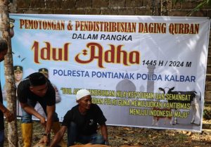Polresta Pontianak Salurkan 9 Ekor Sapi dan 10 Ekor Kambing Kurban