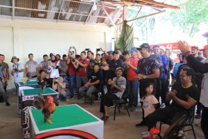 Pangdam XII/Tanjungpura Buka Kontes Ayam Sombong 