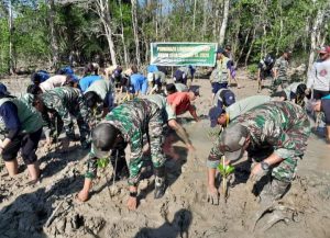 Hari Mangrove Sedunia, Danramil Paloh Ikut Tanam Bakau di Desa Nibung 