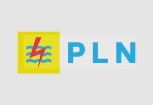 Laporan Konsumen Tak Ditanggapi, Ketua PW GNPK RI Surati PLN