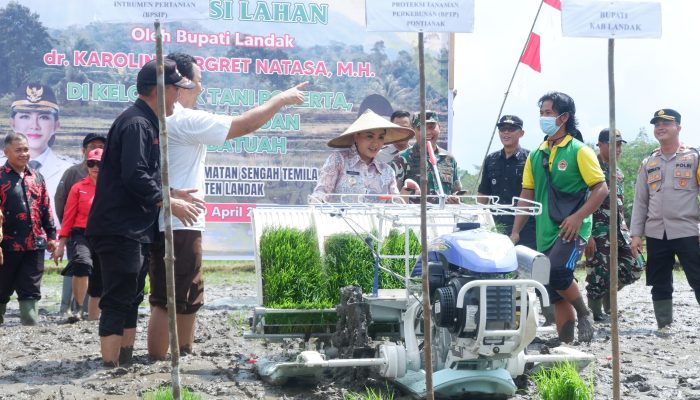 Karolin Tanam Perdana Progam Brigade Pangan di Andeng