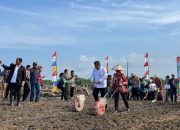 Dukung Ketahanan Pangan, Pemkab Landak Gelar Tanam Perdana Jagung Dilahan PTPN VI
