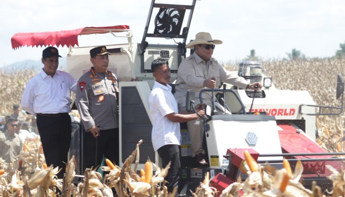 Hasil Panen Jagung Memuaskan, Presiden Prabowo Apresiasi Polri dan Kementan 