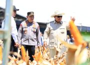 Panen Jagung di Kalbar, Presiden Prabowo Yakin Indonesia Swasembada Pangan