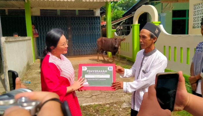 Karolin Serahkan Bantuan Hewan Kurban ke Masjid Babul Hafadzah