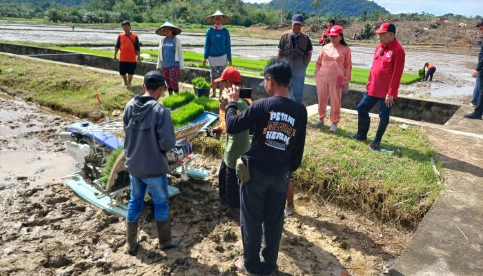 Turun ke Dapil, Cornelis Laksanakan Intruksi Ketum PDIP terkait Ketahanan Pangan