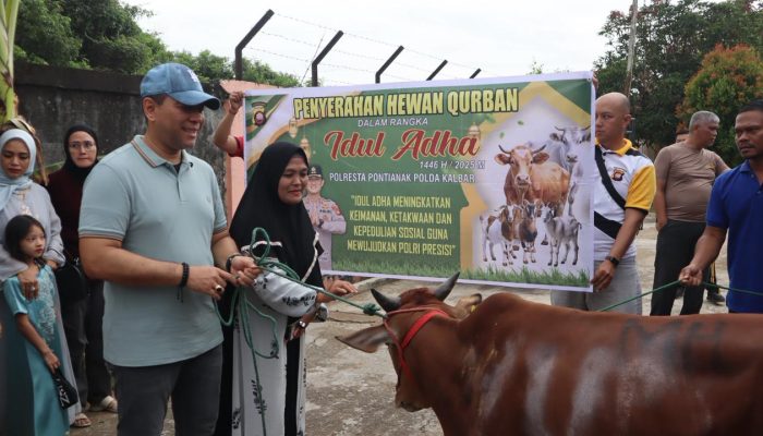 Iduladha Berbagai, Polresta Pontianak Potong 12 Ekor Sapi 