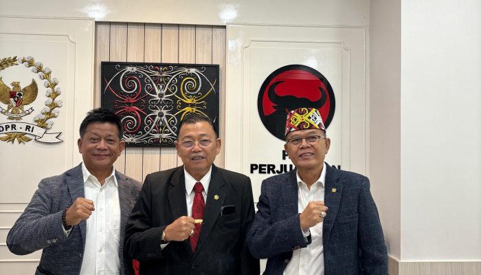 DPN ICDN Tunjuk Cornelis, Sebagai Ketua Dewan Pembina ICDN