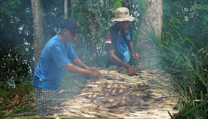 Panen Raya Ikan di Nanga Embaloh, Sukardi Dukung Desa Kreatif dan Mandiri 