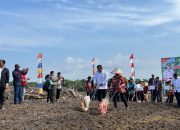 Realisasi LTT Jagung di Landak, Melebihi Target Hingga 145,9 Persen
