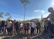 Tanam Perdana Padi Gogo, Landak Targetkan 11.000 Hektare untuk Ketahanan Pangan