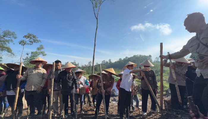Tanam Perdana Padi Gogo, Landak Targetkan 11.000 Hektare untuk Ketahanan Pangan
