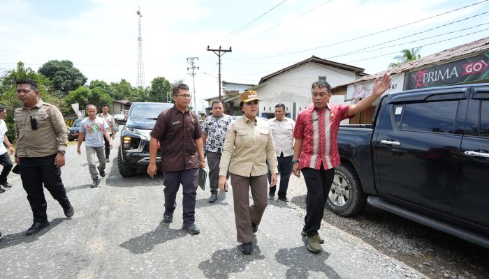 Bupati Landak Tinjau Perbaikan Jalan Karangan-Salumang
