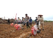 Bupati Landak Dampingi Kapolda Kalbar Tanam Jagung di Jelimpo