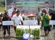 Kabupaten Landak Tertinggi Capaian LTT Padi Seluruh Kalimantan Barat 