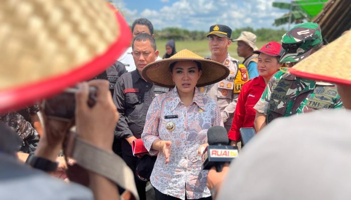 LTT Padi Tertinggi di Kalbar : Karolin Ini Bukti Kesanggupan Daerah 
