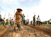 Bupati Landak Launching Tanaman Terpadu Kedelai dan Ubi Kayu dari HKTI