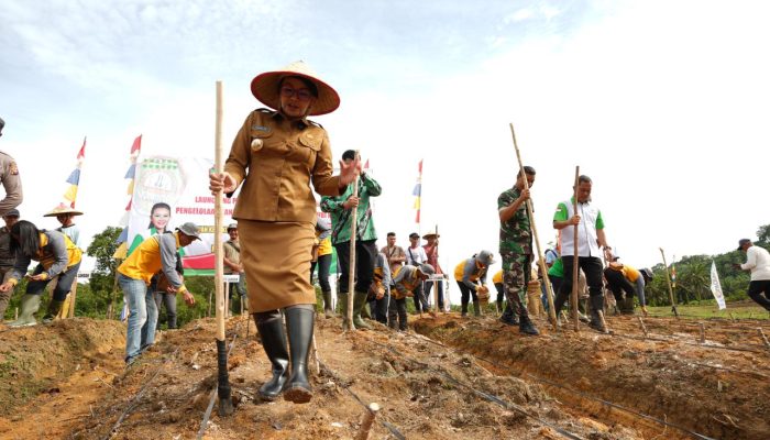 Bupati Landak Launching Tanaman Terpadu Kedelai dan Ubi Kayu dari HKTI