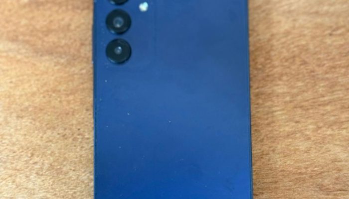 Satu Orang Pelaku Curas Dirungkus Macan Selatan 