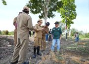 Karolin Tegaskan Anggaran Pertanian Harus Langsung Dirasakan Petani
