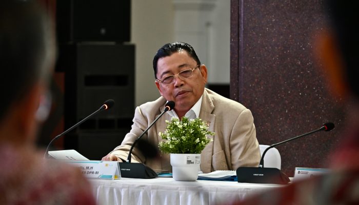 Cornelis dan PLN Kawal Program Unggulan Presiden, Warga Pelosok Kalbar Nikmati Aliran Listrik